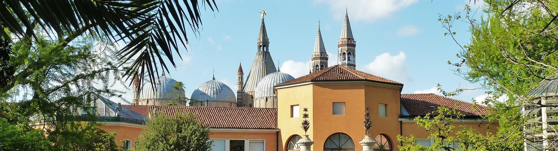 Visit the Botanical Garden in Padua and stay at BW Plus Hotel Galileo